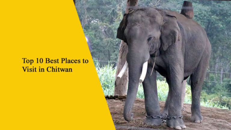 Top 10 Best Places to Visit in Chitwan, Nepal