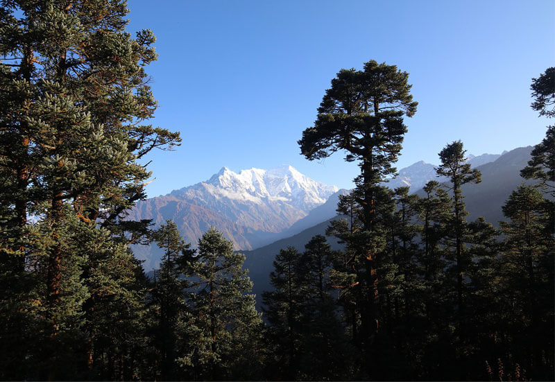 Lantang National Park which is located in Nepal