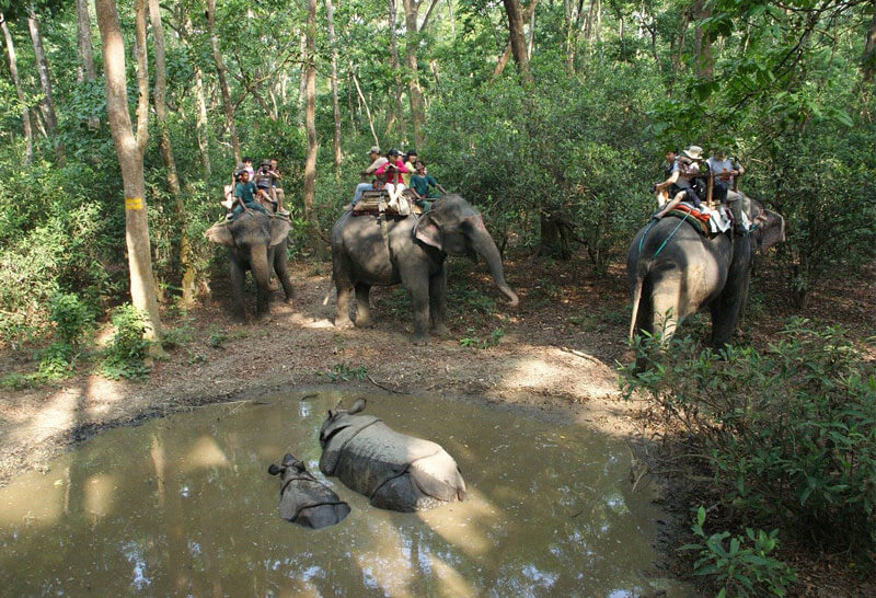 Chitwan National Park which is located in Nepal
