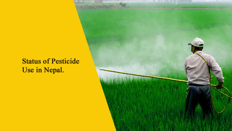 Status of Pesticide Use in Nepal