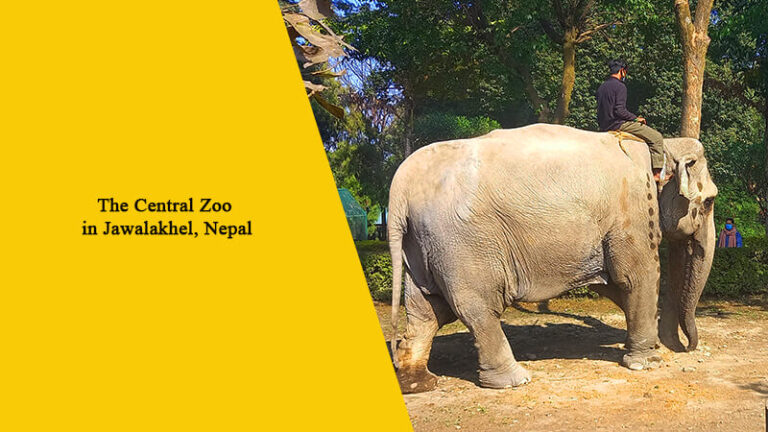 The Central Zoo in Jawalakhel, Nepal